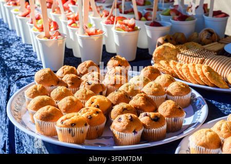 Cupcakes, cookies, and individual fruit salad cups arranged on a table during an outdoor picnic. The assortment of sweet treats and fresh fruit is pre Stock Photo