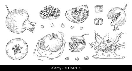 Hand drawn pomegranate set with whole fruit, cut halves, seeds, ice cubes and juice splash. Monochrome fresh tropical fruit clip art for menu design, Stock Vector