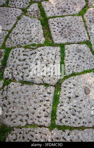 Ancient Stone Paved Road Leading Through Forest Landscape at Aigai Antique City Stock Photo