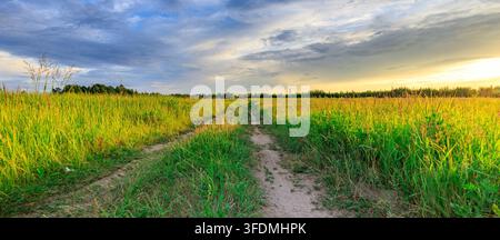 Sunset colors blend into the cloudy sky. Narrow dirt path winds through the field Stock Photo