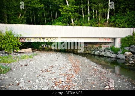 Concrete bridge spans over shallow, rocky stream. Trees and greenery surround the structure. Graffiti marks appear on underside of bridge Stock Photo