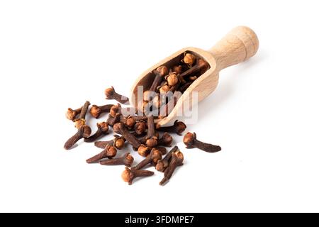 Dried cloves on the white background Stock Photo