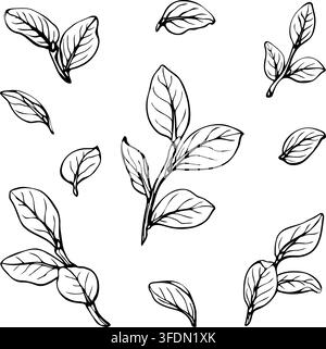 Hand drawn blueberry leaves and branches vector illustration set. Engraving style ink sketch elements isolated on white background. Botanical drawing Stock Vector