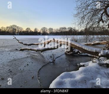 Winter landscape featuring a snow covered branch over a tranquil frozen lake at sunset Stock Photo