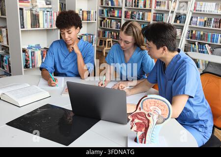 Three multicultural medical students in scrubs taking notes near a laptop and head anatomy model in a library. Digital medical education and neurology Stock Photo