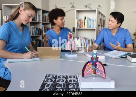 Anatomical cross-section model of lungs and chest CT scans placed on a table with medical students in a library background. Respiratory diagnostics an Stock Photo