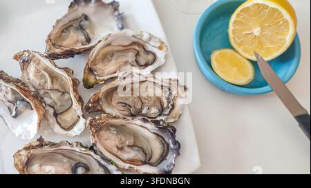 Freshly opened oysters arranged on a white plate, accompanied by lemon wedges on a blue plate and a knife, ideal for seafood lovers Stock Photo