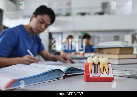 Anatomical dental implant model on an open textbook with an Asian student writing in a library background. Dental implantology and prosthodontics stud Stock Photo