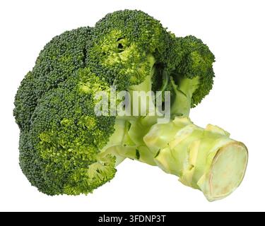 Fresh, green broccoli isolated on white background Stock Photo