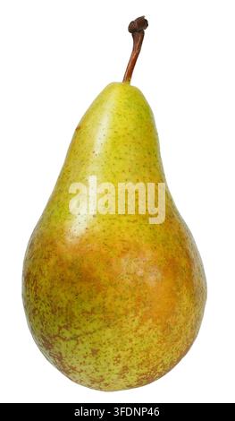 Single pear isolated on white background Stock Photo