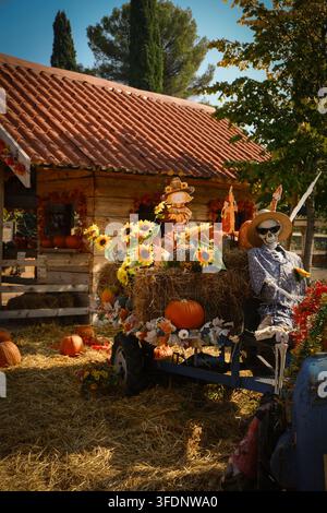 Autumn farm display with pumpkins, hay bales, sunflowers and a decorative skeleton in a rustic seasonal setting Stock Photo