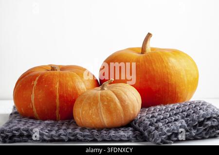 Three pumpkins of different sizes and shapes on a cozy knitted plaid, a minimalist composition for fall and Thanksgiving Stock Photo