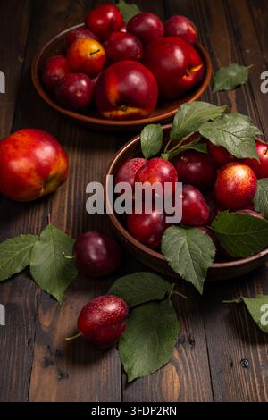 Freshly picked red plums and nectarines resting in ceramic bowls and scattered with green leaves on a dark wooden surface, highlighting organic harves Stock Photo