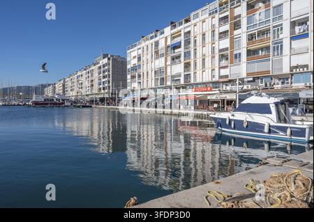 View across the harbor basin of the modern residential buildings and restaurants of the Quai Cronstadt waterfront with yachts and a flying seagull und Stock Photo