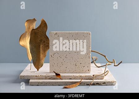 Minimalist Still Life Composition with Stone, Dried Leaves, and Branches against a Soft Blue Background Stock Photo