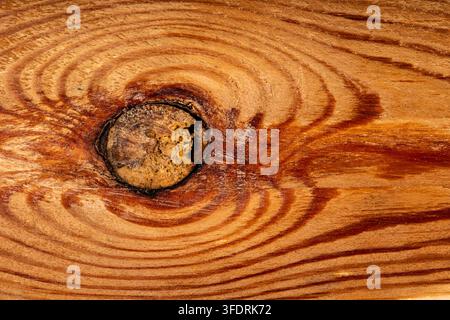 Brown uniform background with a warm texture of knotty construction material close-up view. Stock Photo