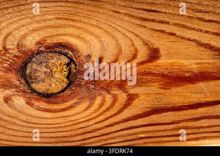 Abstract texture of a natural color board with concentric circles around a knot close-up. Stock Photo