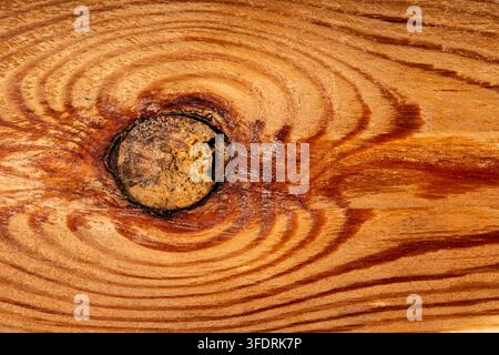Fibrous matte background of natural wood with a round knot for artistic projects. Stock Photo