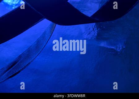 Blue satin ribbon arches over a dark textured background surface. Stock Photo