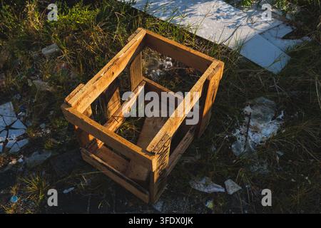 High-angle shot of an empty open wooden crate lying on a patch of overgrown grass, litter, and discarded debris outdoors. Stock Photo