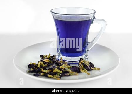 Butterfly Pea Flower Tea, Blue tea is in a glass cup with the dried Clitoria Ternatea flowers on a white plate Stock Photo