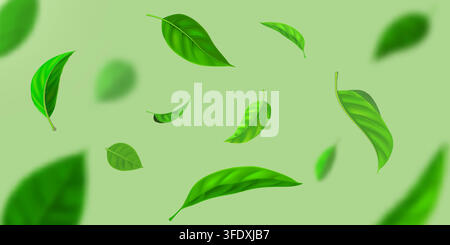 Realistic vector illustration of falling green tea leaves floating in motion against soft light green background banner with depth of field blur effec Stock Vector