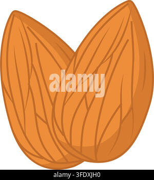 Two Brown Almond Nuts with Textured Skin Flat Vector Illustration Stock Vector