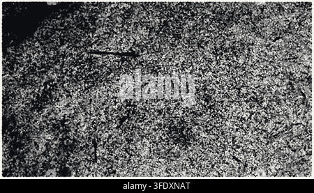 Black and White Grunge Vector Texture Illustration Featuring a Distressed Halftone Dot Pattern Background with Rough Grainy Details and Dark Shades Stock Vector