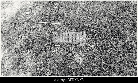 Grunge texture background. Monochromatic distressed overlay pattern with heavy grain and scratches for design Stock Vector