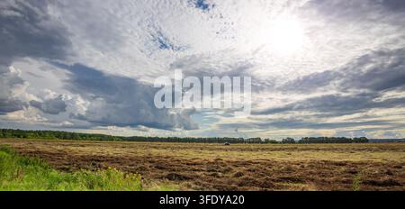 Vast field stretches under dramatic sky with scattered clouds. Sunlight pierces through thick Stock Photo