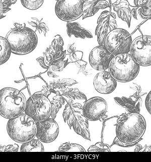 A seamless pattern of pomidoro branches. A backdrop for packaging and textiles. Branches with round cherry tomatoes, leaves, and flowers intertwined. Vector line sketch in a retro ink style. Stock Vector