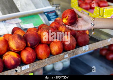 Hand Holding Ripe Nectarine at Outdoor Produce Market. Hand holding a ripe nectarine above a fresh fruit display at an outdoor produce market. Stock Photo