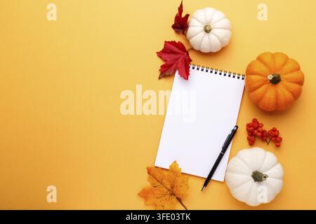 White and orange decorative pumpkins and notepad with pen on the orange background, flat lay with copy space Stock Photo