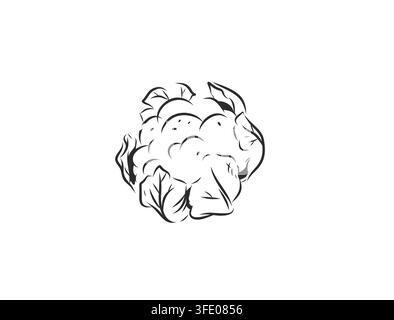 Cauliflower Vegetable Hand Drawn Line Art Vector Illustration, Organic Healthy Food Botanical Outline Sketch, Fresh Farm Produce Isolated on White Stock Vector