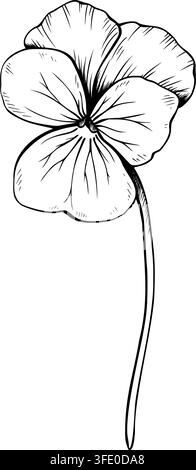 Single hand drawn pansy flower front view vector illustration. Detailed black and white botanical sketch of viola flower on a stem, isolated on white Stock Vector