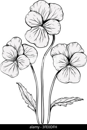 Hand drawn pansy flowers bouquet with stems and leaves vector illustration. Black and white ink sketch of three blooming viola tricolor blossoms Stock Vector
