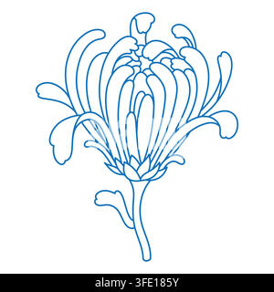 Japanise chrysanthemum flower line art isolated on white. Traditional Chinese chrysanth blossom outline. Beautiful monochrome sketch of mum flower Stock Vector