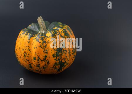 A single small pumpkin with an orange rind covered in dark green speckles and a short woody stem rests on a plain black surface. The high-contrast stu Stock Photo