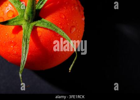 bright red tomato on black background Stock Photo