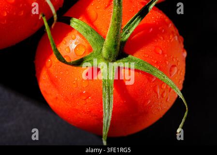 bright red tomato on black background Stock Photo