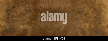 Walnut burl wood  brown tones texture Stock Photo