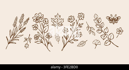 Botanic herbs, wild flowers in vintage outline style. Autumn leaves, butterflies, and meadow grasses. Line sketch collection, set, bundle. Vector illustration in brown Stock Vector