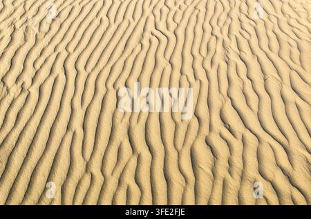 Close-up view of wind-shaped rippled sand dunes in warm golden light, creating a natural abstract pattern and textured desert background. Stock Photo