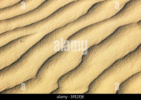Close-up of soft golden sand with natural wind-shaped ripples and shadows, creating a warm abstract desert texture background. Stock Photo