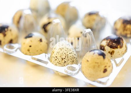 Quail eggs in container box Stock Photo
