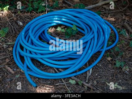 Coiled blue garden hose resting on the ground Stock Photo