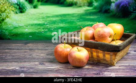 Wide autumn still life with Gala apples inside a rectangular rustic basket and two apples in front, arranged on a wooden table against a blurred green Stock Photo