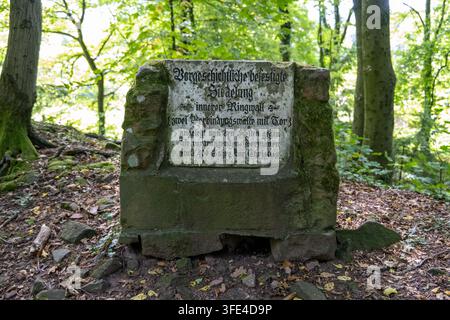 Weathered stone marker with German text along a wooded trail near Thingstätte on Heiligenberg in Heidelberg. Stock Photo