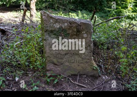 Weathered stone marker labeled Jubiläums Eiche along the wooded Philosopher's Way area in Heidelberg, Germany. Stock Photo