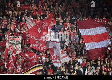 Ultras, fans, fan block, 1. FC Nürnberg vs. Bayer Leverkusen (LEV) - 1 ...